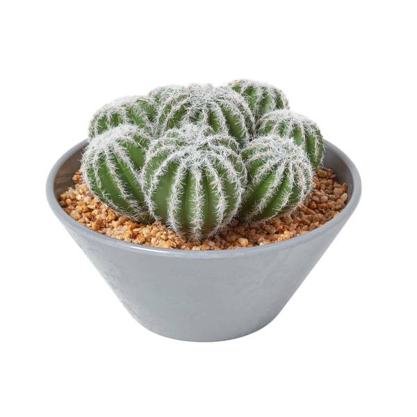 Cactus Echinocactus AP1452 Vert - Polyester - 20 x 17 x 17 cm