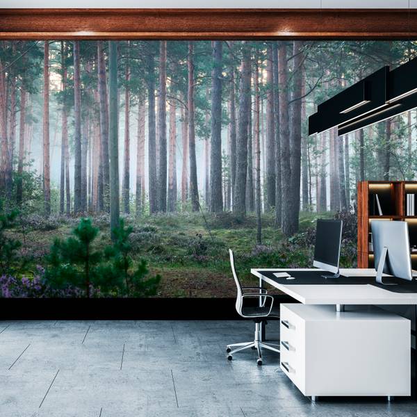 Fototapete Wald Nebel Natur Moos 200 x 140 x 140 cm