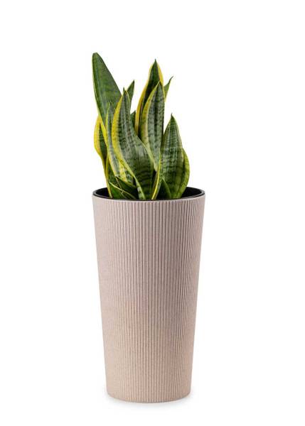 Blumentopf 2er Set Urbanika Beige