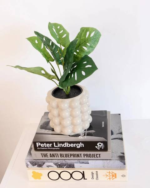 Künstliche Monstera Jonah Beige - Kunststoff - 1 x 30 x 1 cm