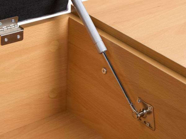 Schuhschrank BOURKE Braun - Holzwerkstoff - 110 x 43 x 46 cm