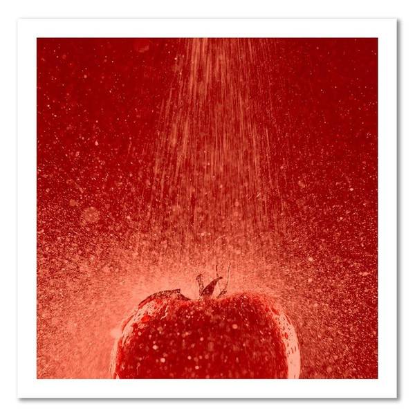 Wandbild tomate unter einem wasserstrahl 30 x 30 cm