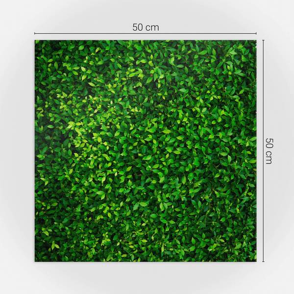 Fliesen Marmor Elegant 4er Set 50 x 50 cm