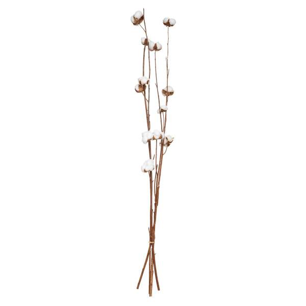 Natürliche Trockenblumen KANI Naturfaser - 2 x 95 x 15 cm
