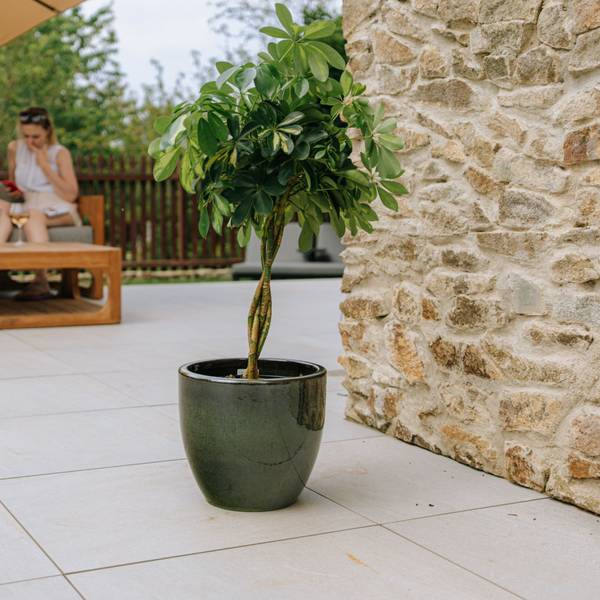 Blumentopf Lancelot 29 x 26 x 29 cm