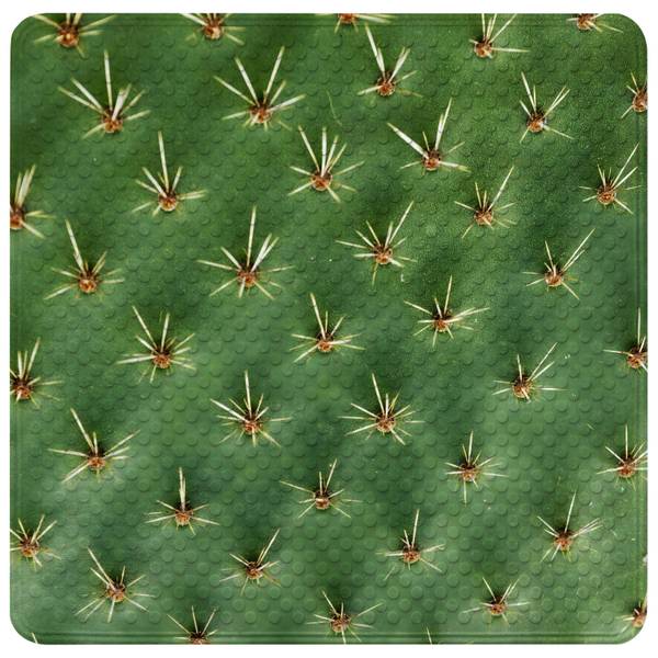 Sanilo Tapis de douche Cactus Vert - Orange - Jaune - Polyester-PVC - 53 x 1 x 53 cm