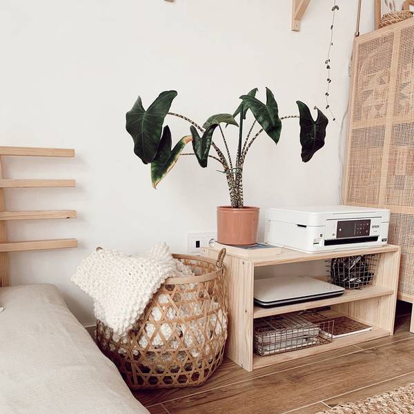 2x1 TV Modul Dinamic Braun - Massivholz - 71 x 37 x 33 cm