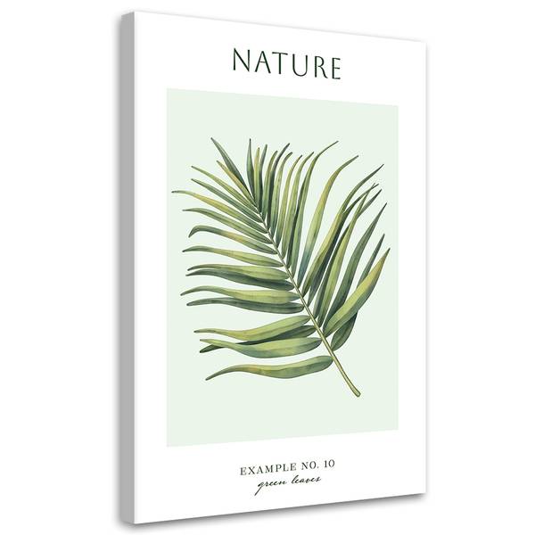 Wandbild blätter – natur 70 x 100 cm