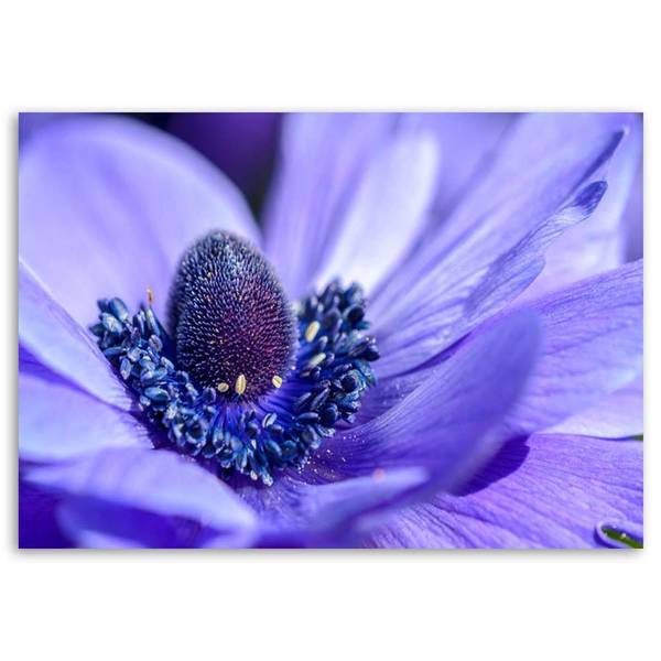 Wandbild blume 100 x 70 cm