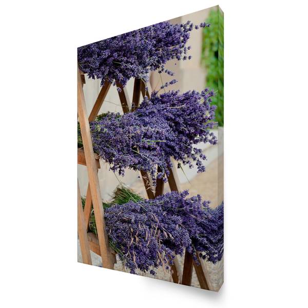 Leinwandbild Getrockneter Lavendel Violett - Baumwollstoff - 50 x 70 x 1 cm