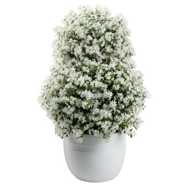 Blumentopf Luna 3er-Set Weiß - Kunststoff - 46 x 38 x 46 cm