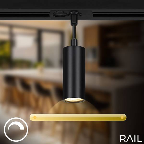 Pendelleuchte Schienensystem 8016045 Schwarz