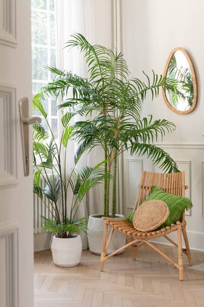 Kissen Amaz. Rainforest Grün - Wolle - 45 x 12 x 45 cm