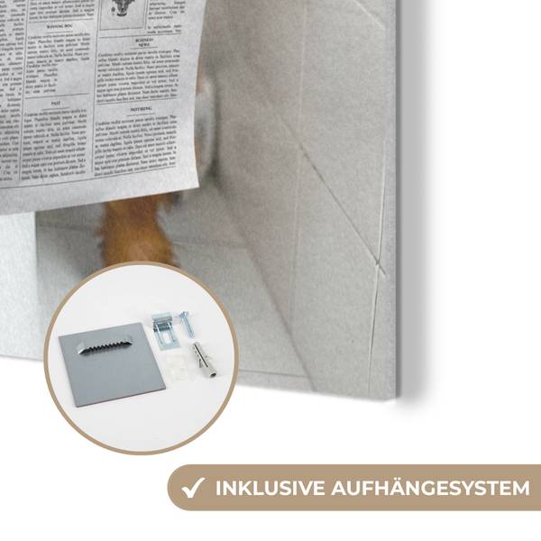 AKUSTIKBILD Hochlandrind 60 x 80 cm