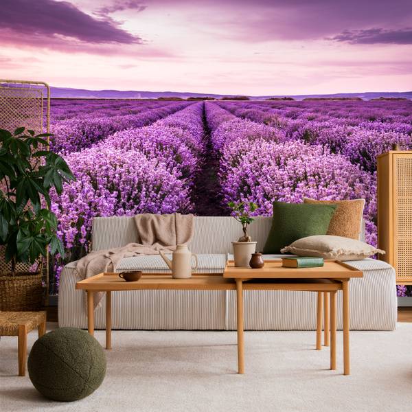 Fototapete Lavendel Wiese Klappe Natur 100 x 70 x 70 cm