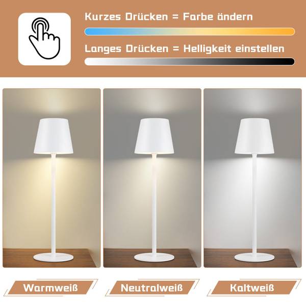 Lampe de table LED Regensburg Blanc
