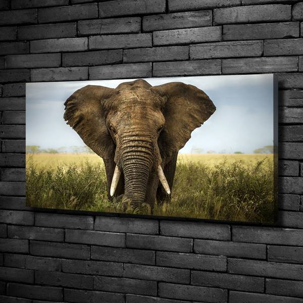 Wandbild Elefant Savanne Braun - Mischgewebe - 100 x 50 x 4 cm
