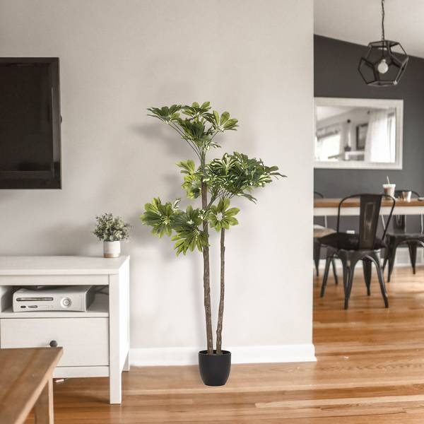 Künstliche Schefflera SCHEFFLERA Grün - Kunststoff - 65 x 135 x 70 cm