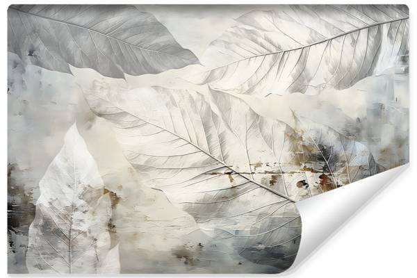 Vlies-Fotobehang ABSTRACT Natuur Muur lichtgrijs - 400 x 280 x 280 cm