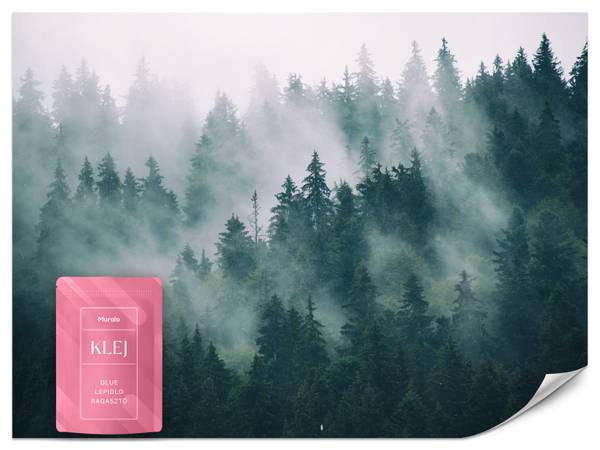 Fototapete Nebel Wald Natur Bäume 300 x 210 x 210 cm
