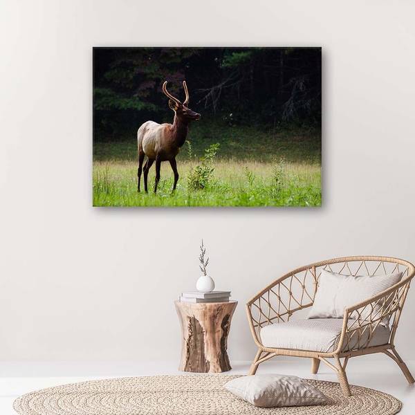 Wandbild reh auf der wiese 90 x 60 cm