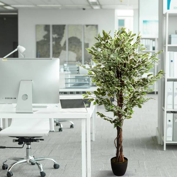Kunstpflanze FICUS Grün - Kunststoff - 80 x 165 x 80 cm