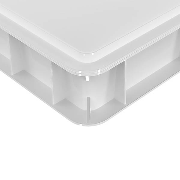 Pizzaballenbox mit Deckel Grün - Weiß - Kunststoff - 60 x 13 x 40 cm