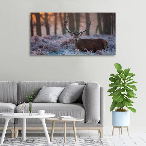 Wandbild Hirsch Sonnenaufgang Braun - Mischgewebe - 100 x 50 x 4 cm