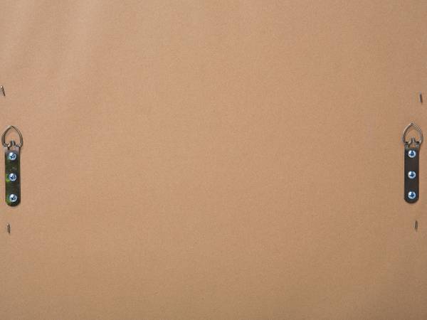 Miroir BELLAC Argenté - Matière plastique - 51 x 141 x 4 cm