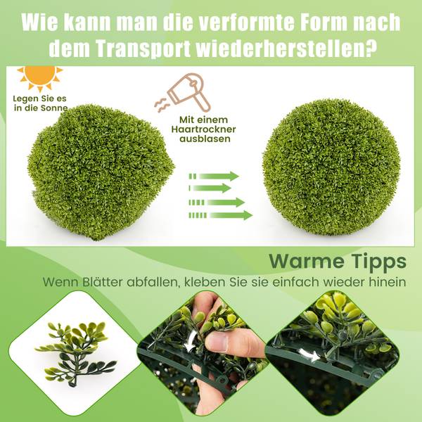 Buchsbaum-Kugel TL32412 kaufen