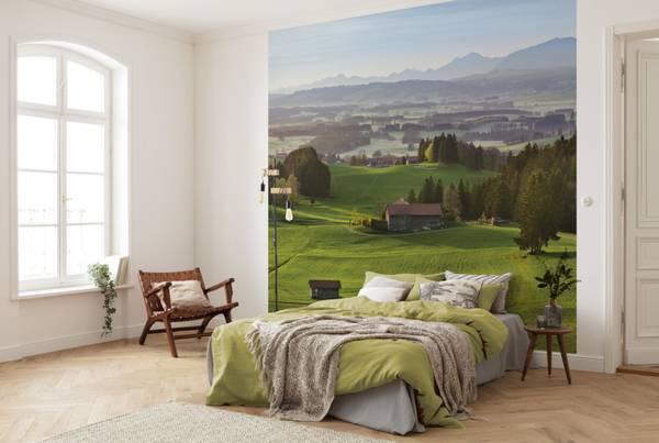 Fototapete 612650 Grün - Papier - 450 x 280 x 280 cm