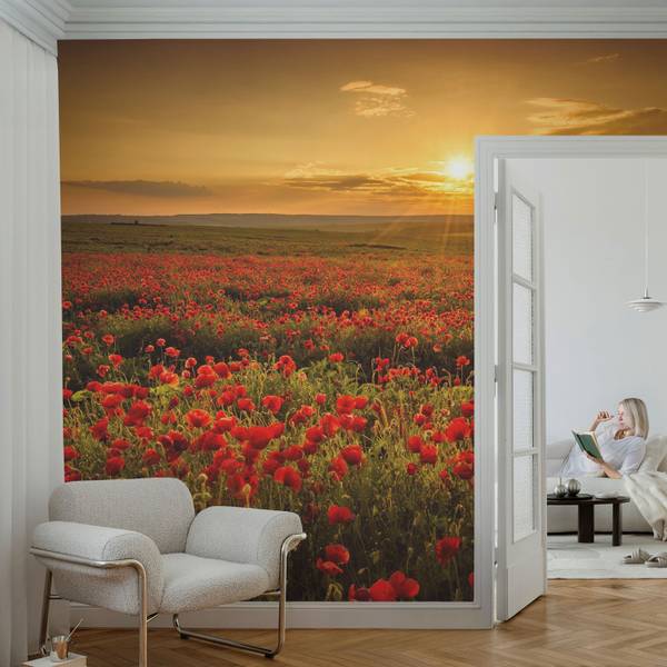 Vliestapete Velaria 70 x 104 cm