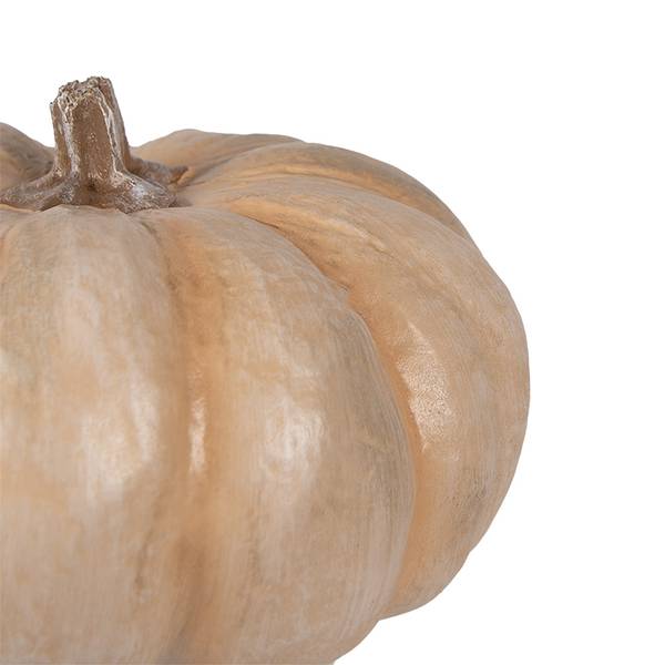 Dekoration Kürbis Deco&Keegan Beige - Kunststoff - 22 x 13 x 22 cm