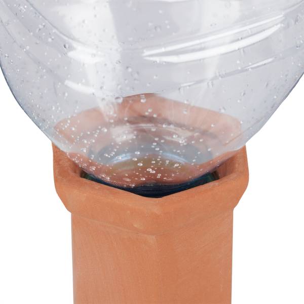 Tonkegel zur Bewässerung 8er Set Braun - Pinie - 6 x 17 x 5 cm