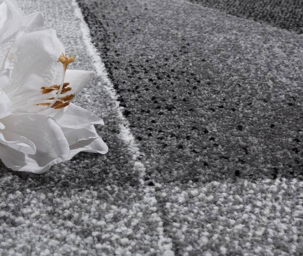 Kurzflorteppich Ece 922 70 x 140 cm