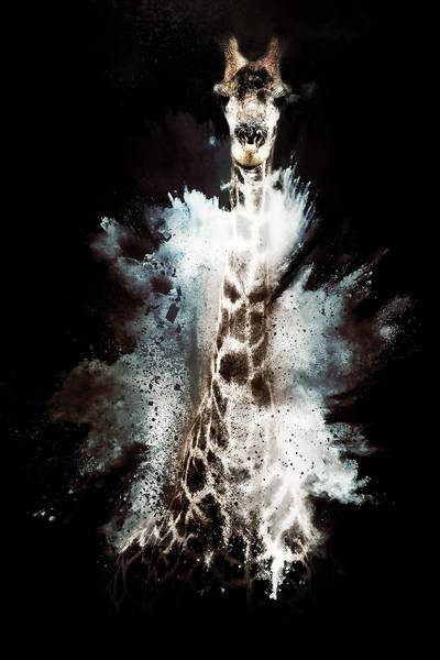 Tableau wild explosion girafe Fibres naturelles - 80 x 120 x 4 cm