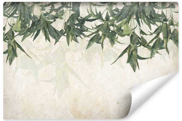 Papier Peint FEUILLES DE BANANE Béton 405 x 270 x 270 cm