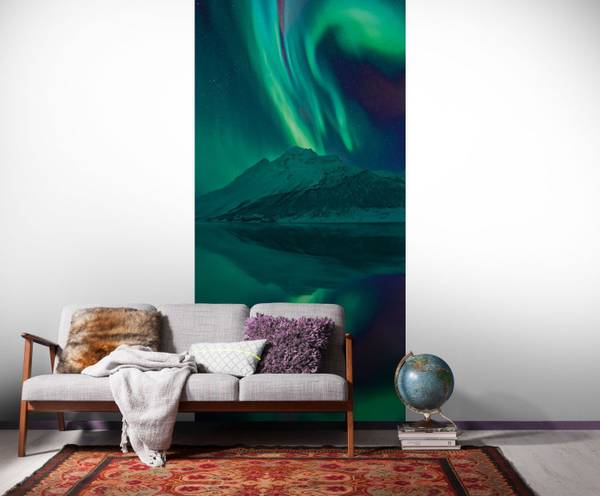 Fototapete 612562 Grün - Papier - 100 x 250 x 250 cm