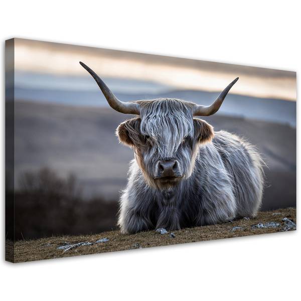 Wandbild Kuh 80 x 40 cm