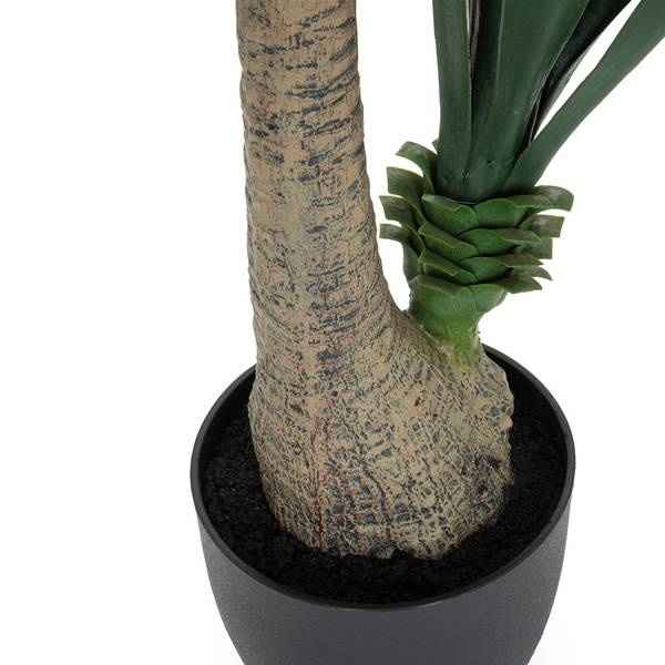 monstera deliciosa mint variegated Monstera Jungle Mint main image 0