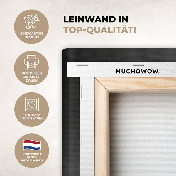 LEINWANDBILD Blumensamen 50 x 50 x 50 cm