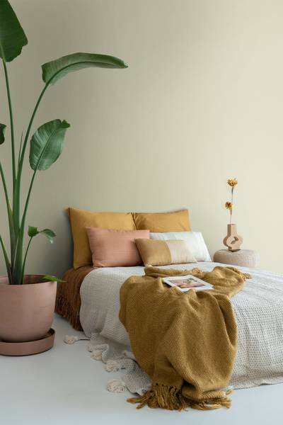 Wandfarbe matt 191002 Braun - Papier - 1800 x 100 x 1800 cm