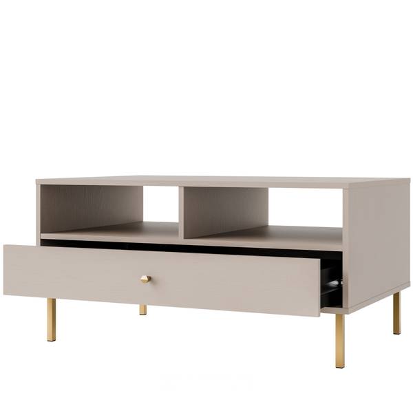 Couchtisch FLOREN II Grau - Holzwerkstoff - 100 x 50 x 65 cm