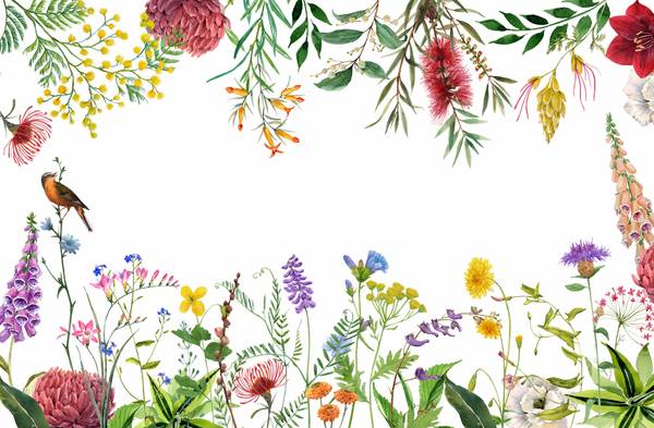 Digitalis Panoramapapier Papier - 384 x 250 x 384 cm