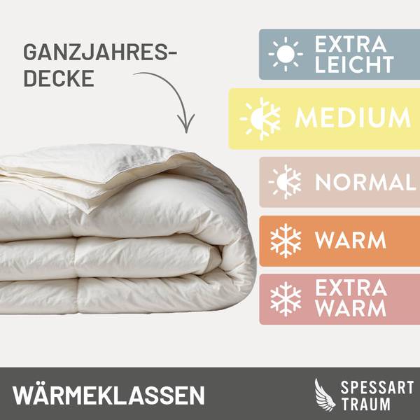 Daunendecke Saphir 200 x 200 cm - Ganzjahr