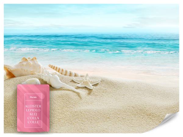 Fototapete Muscheln Strand Sand Wellen 300 x 210 x 210 cm
