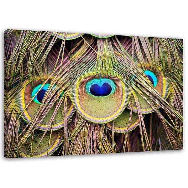 Wandbild pfauenfeder 120 x 80 cm