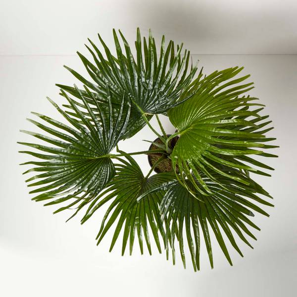 Kunstpflanze Fächerpalme Grün - Polyester - 40 x 80 x 80 cm
