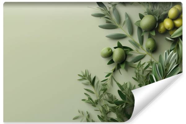 Fototapete BLÄTTER Oliven Pflanzen Natur 360 x 240 x 240 cm