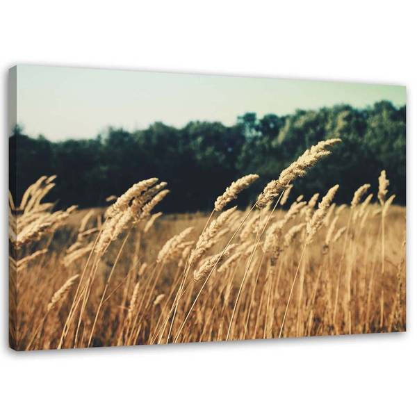 Wandbild reifes getreide 120 x 80 cm